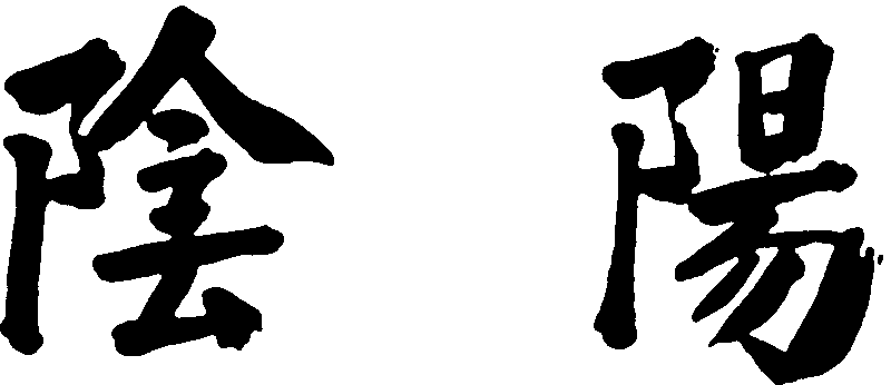Ying Yang